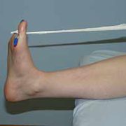 colocacion del segmento corporal x