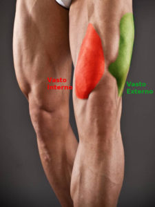 cuadriceps vastos