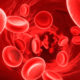globulos rojos x