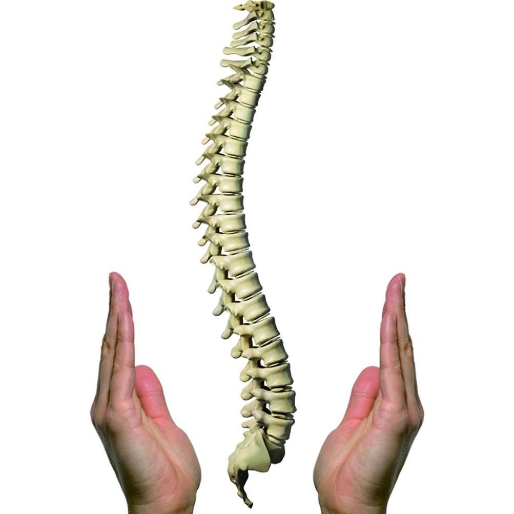 72487962_1137894523067334_2971780544611745792_o