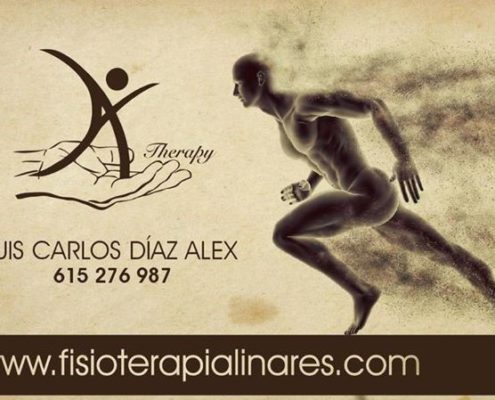 Luis Carlos Díaz Álex 