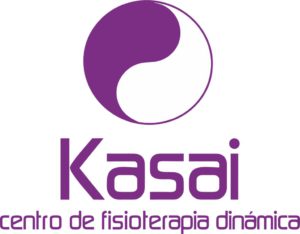 Fisioterapia dinámica