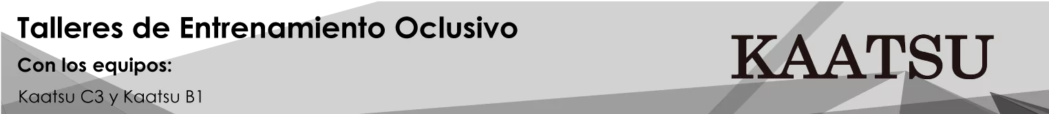 banner-talleres-kaatsu-def