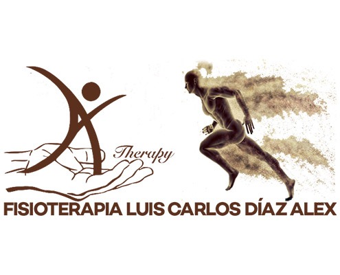 Luis Carlos Díaz Álex 