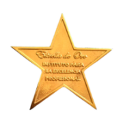 Estrella de Oro del Instituto para la Excelencia Profesional por su capacidad de innovación