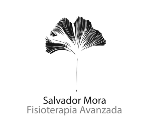 Salvador Mora Fisioterapia Avanzada