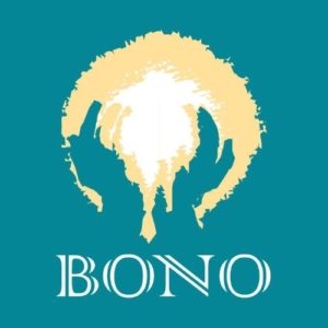 Fisioterapia Bono Tomelloso