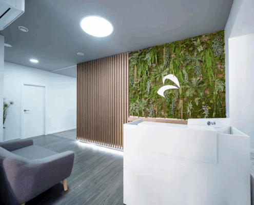 image - 2025-12-12T115616.652 image - 2025-12-12T115616.652